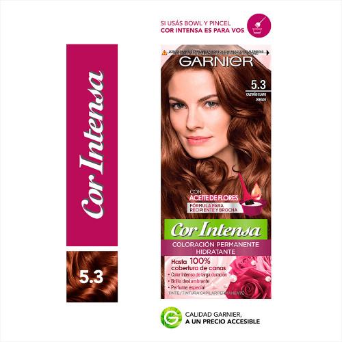 Tinte Cor Intensa Nutrisse 6.7 Chocolate Garnier